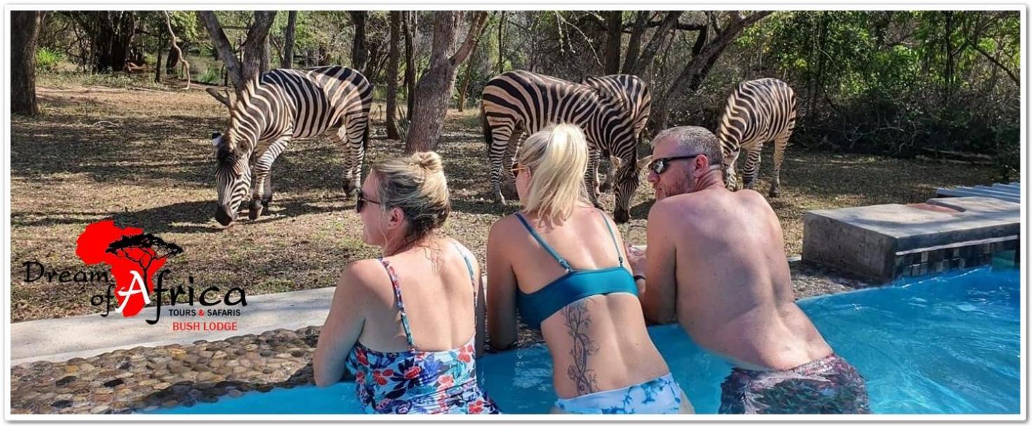 Dream Of Africa Bush Lodge مارلوث بارك المظهر الخارجي الصورة